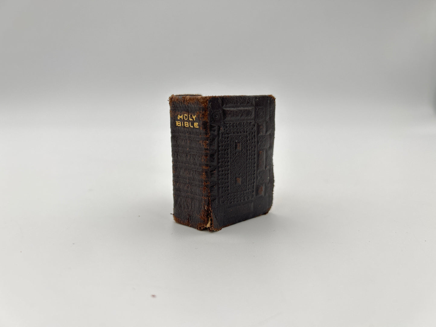 Illustrated Thumb Bible