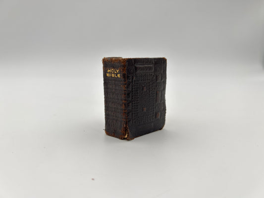 Illustrated Thumb Bible