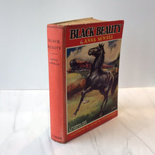 Load image into Gallery viewer, -Black Beauty*