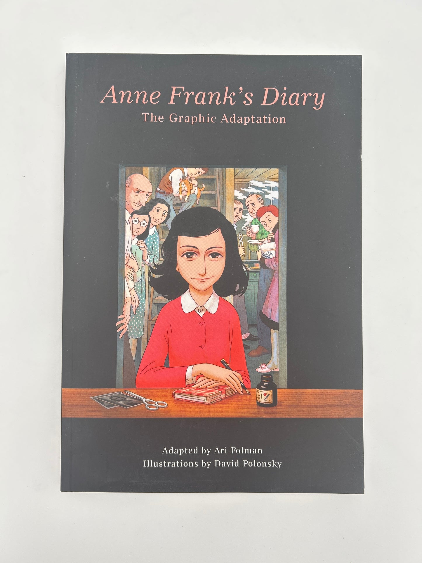 Anne Frank’s Diary Graphic Novel