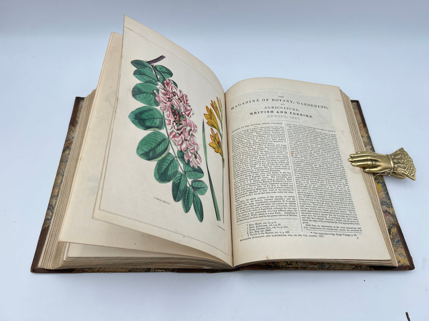 The Magazine of Botany and Gardening In Four Volumes