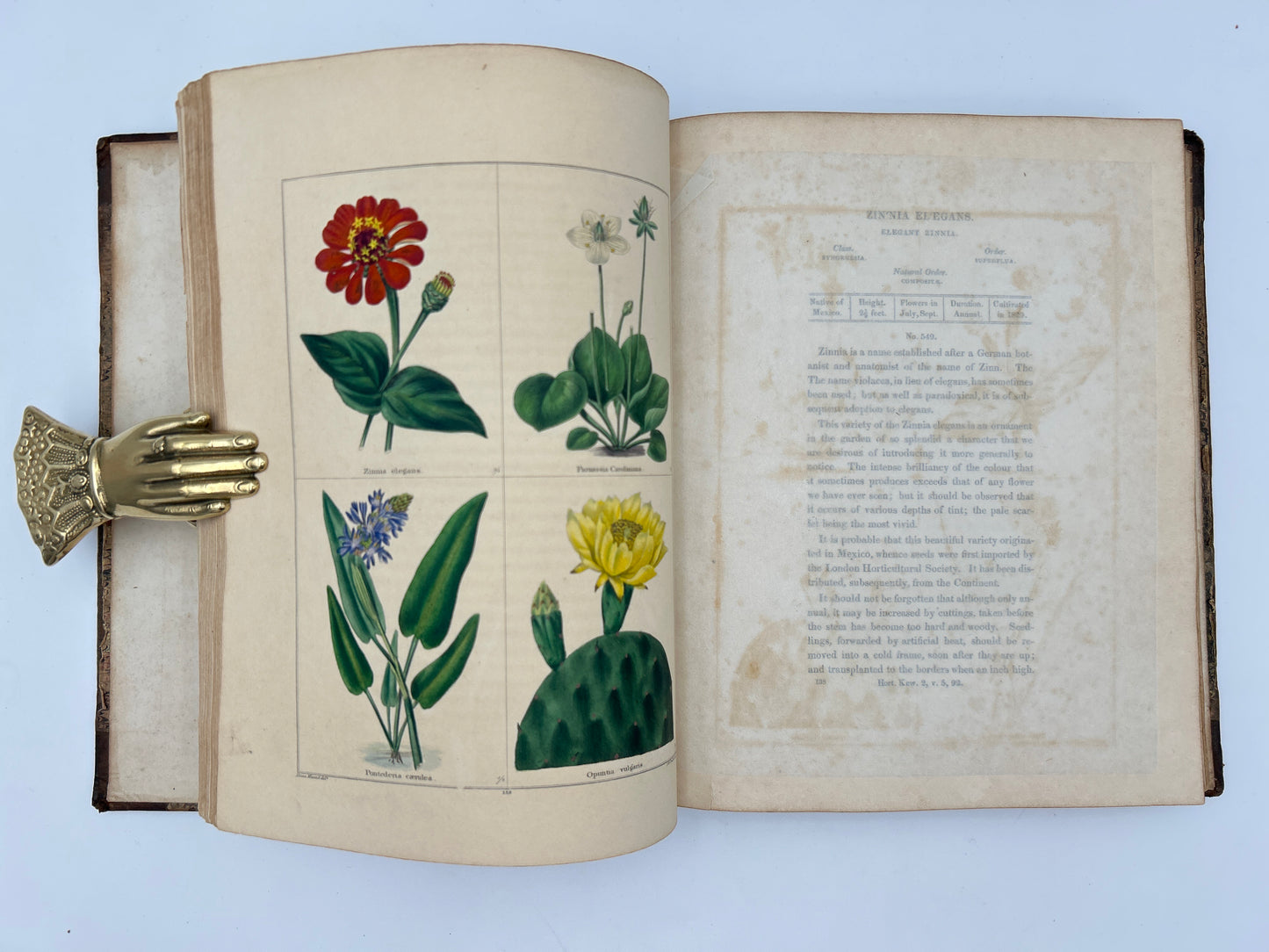 The Botanic Garden in Three Volumes