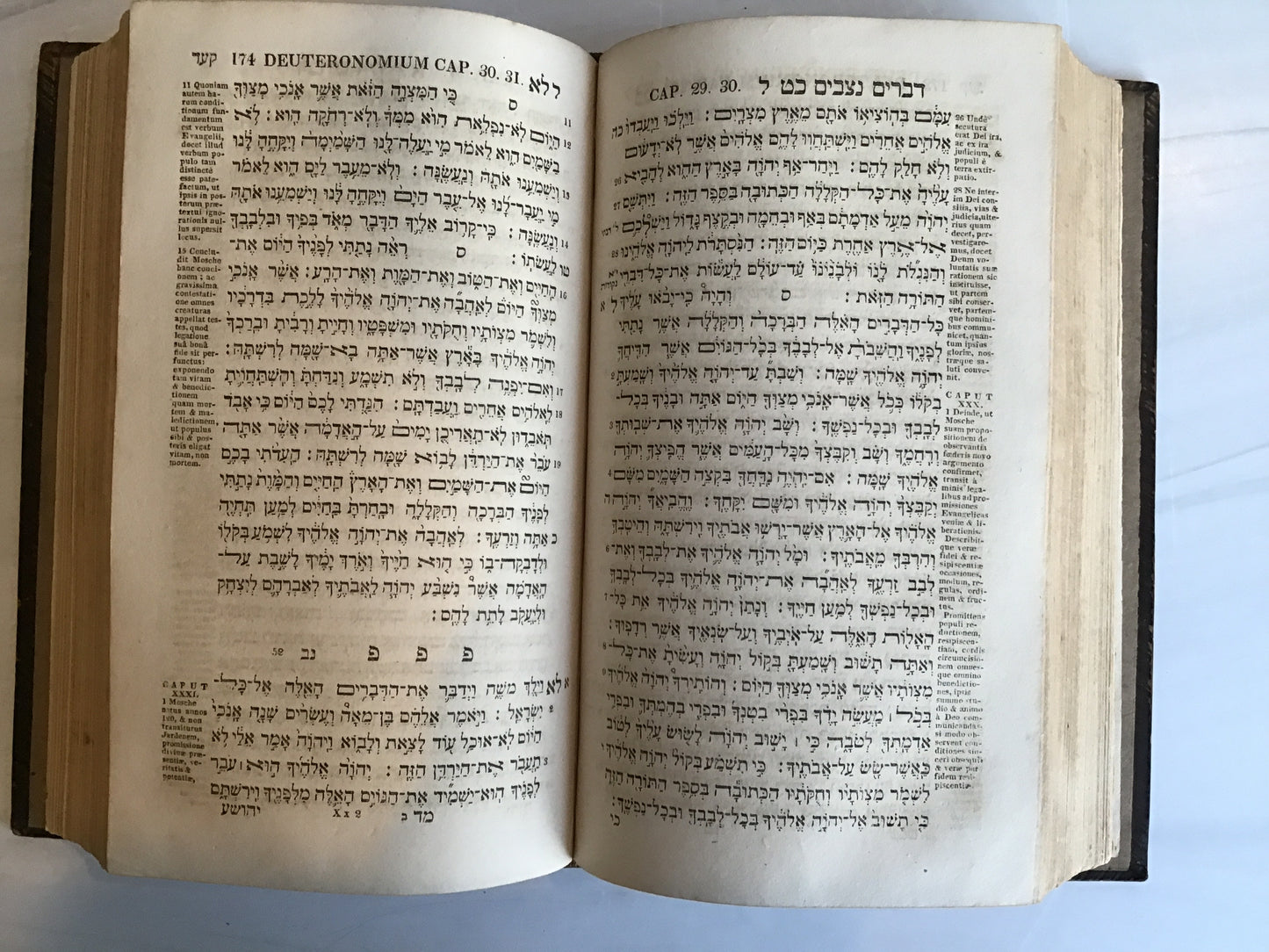 Hebrew Bible