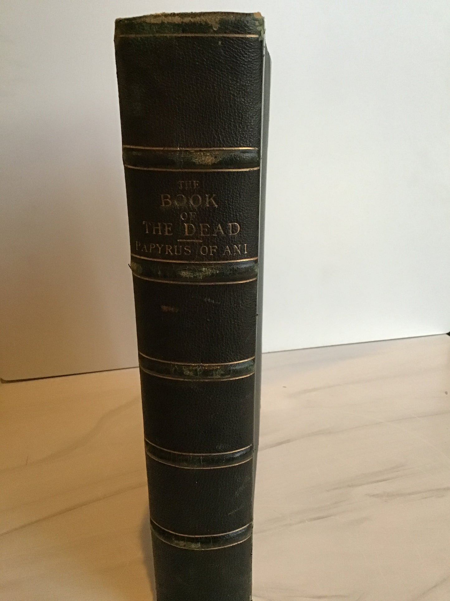 The Book of the Dead