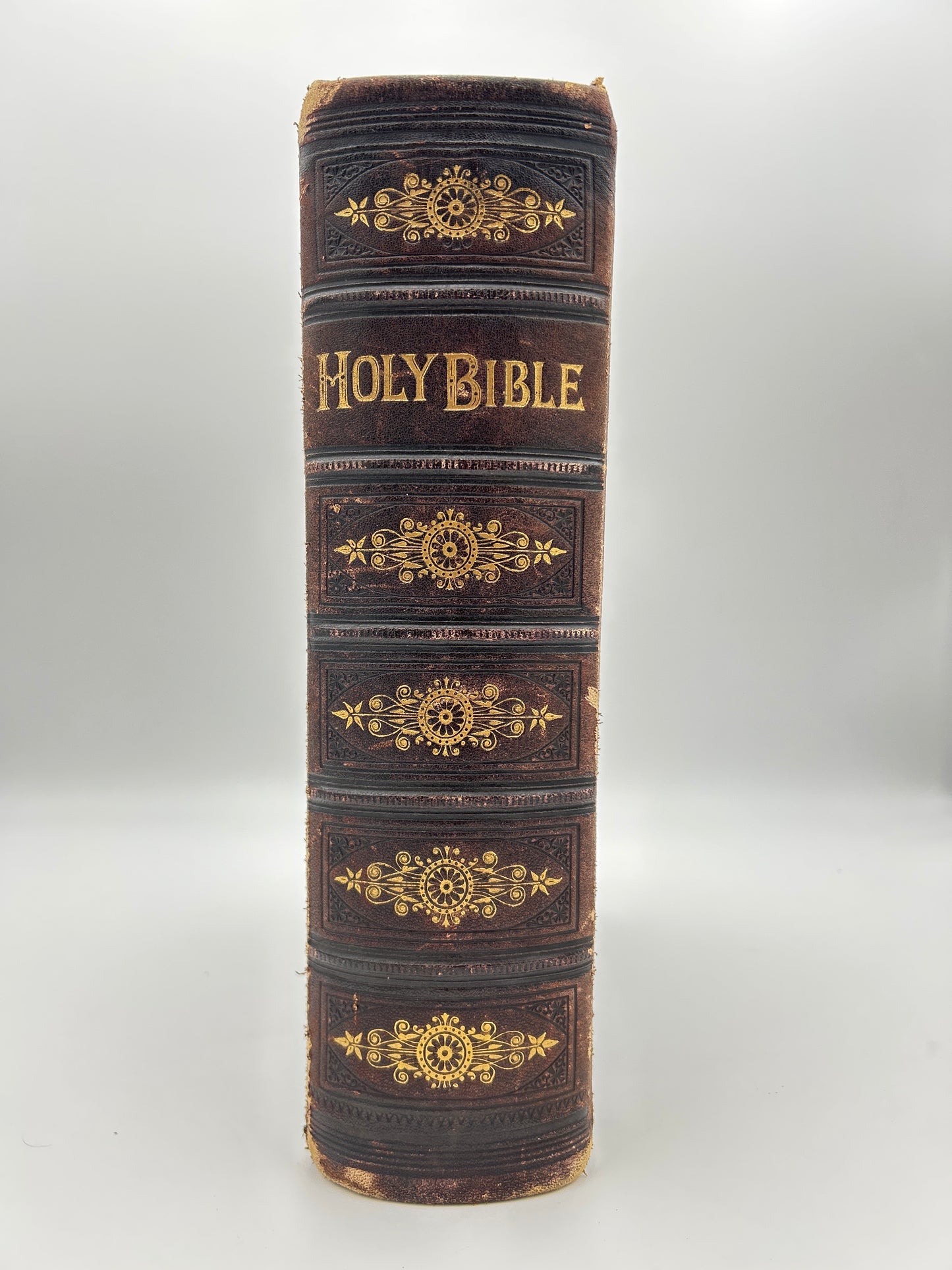 Catholic Family Bible 1884