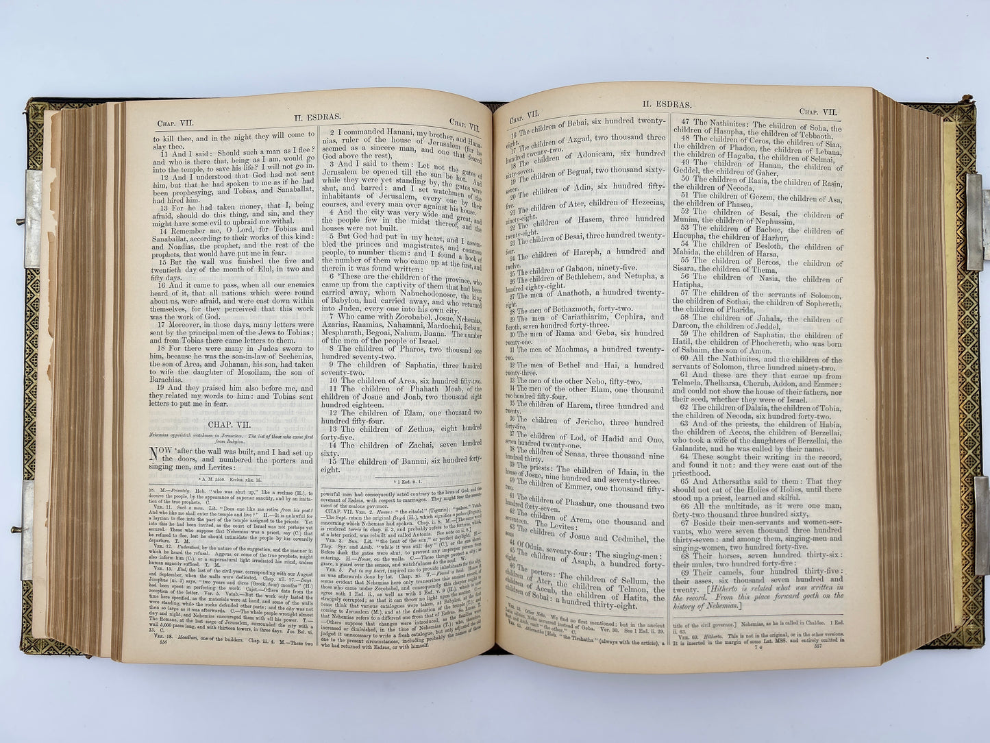 Catholic Family Bible 1884