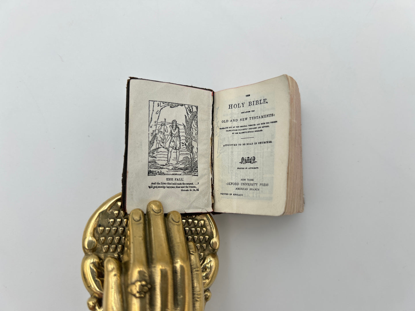 Illustrated Thumb Bible