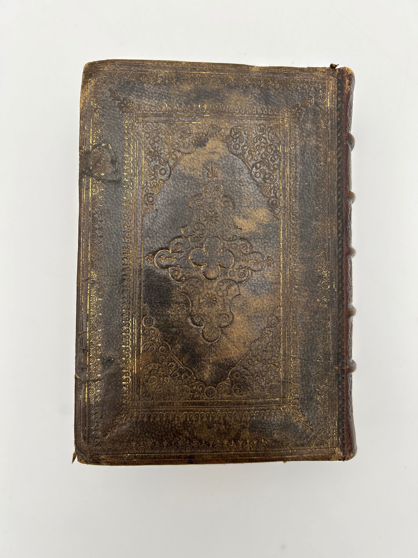 Holy Bible 1633