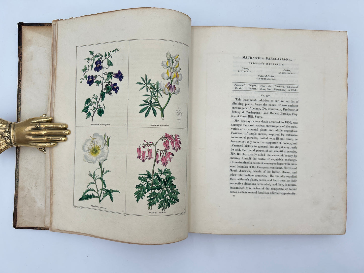 The Botanic Garden in Three Volumes