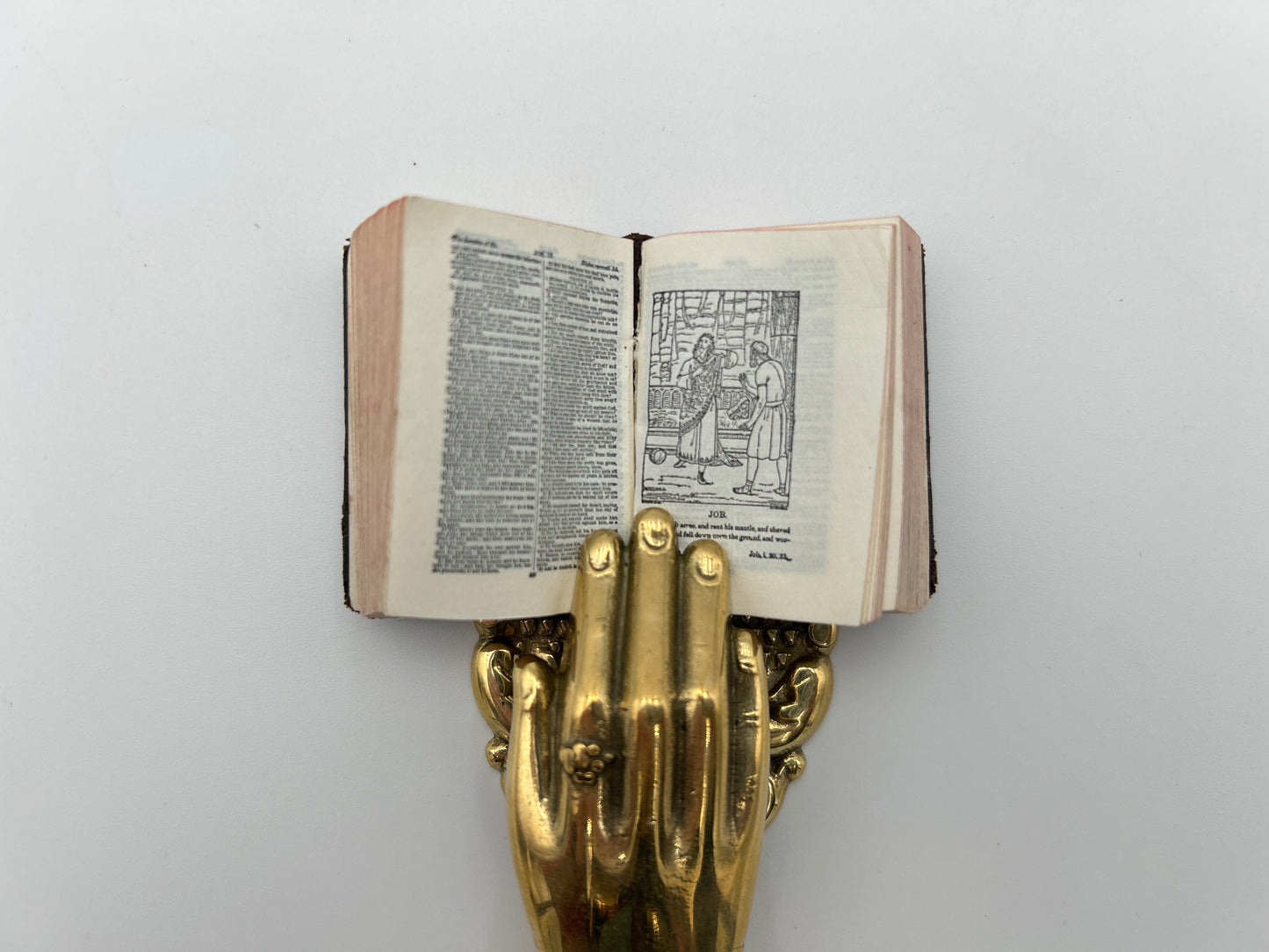 Illustrated Thumb Bible