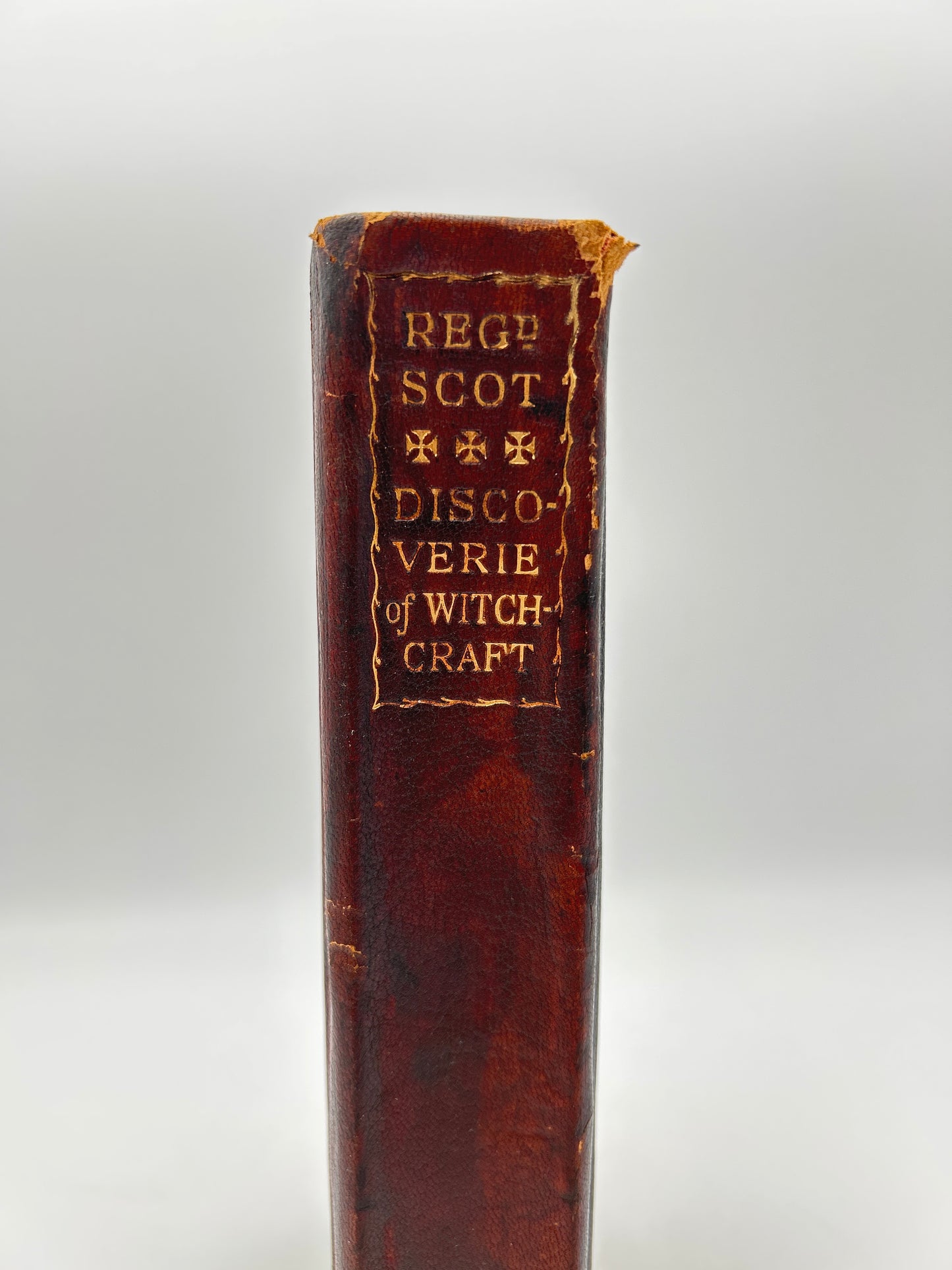 The Discoverie of Witchcraft