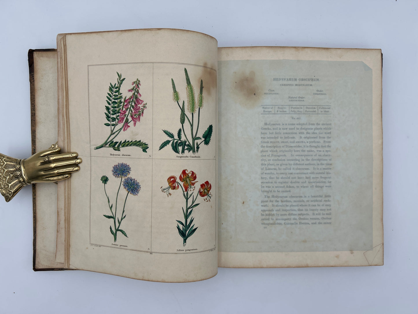 The Botanic Garden in Three Volumes