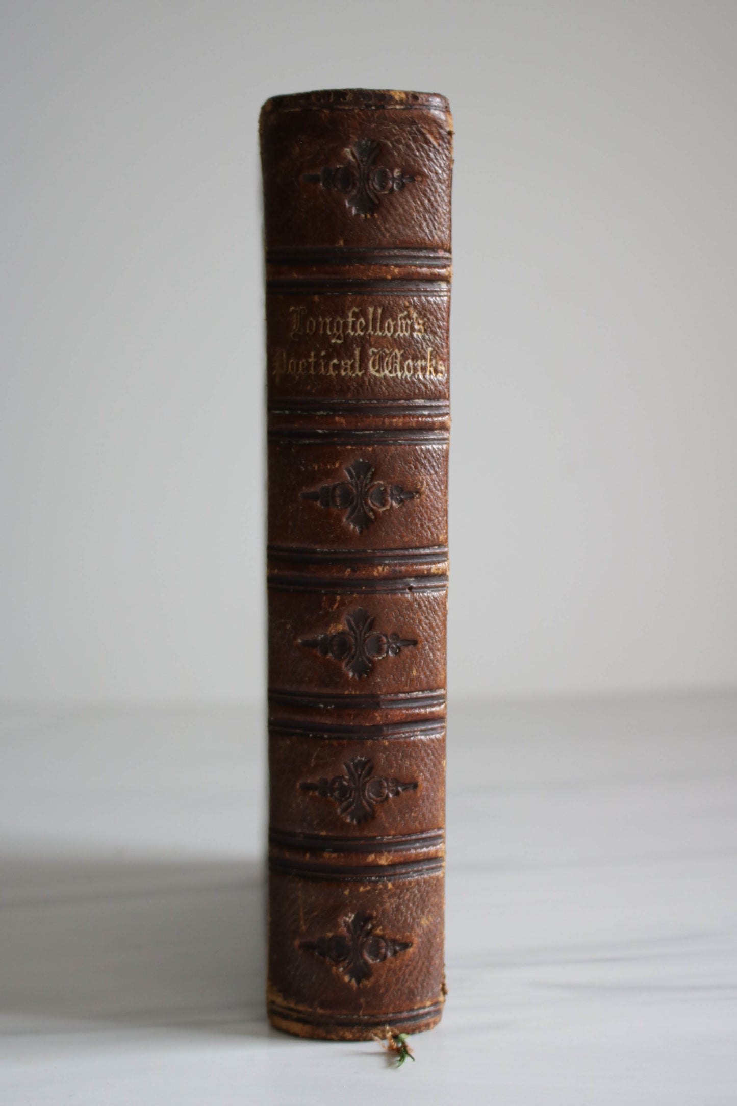 Longfellow’s Poetical Works 1880