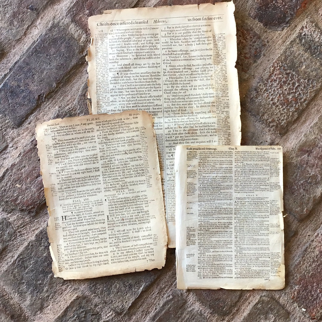 Online Special Original Bible Leaf from King James  Bible